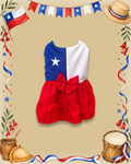 Vestido Bandera Chilena 🇨🇱
