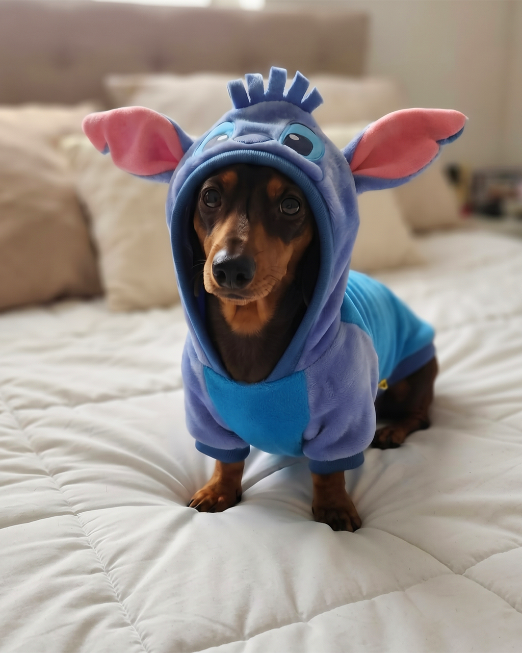 Polerón "Stitch"